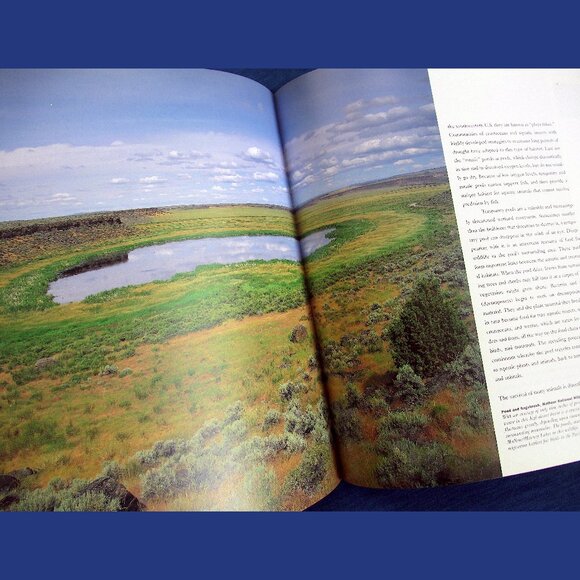Book - Wetlands: The Web of Life, by Paul Rezendes and Paulette Roy - Picture 6 of 13